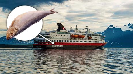 You Can Run a Cruise Ship on Dead Fish Just FYI