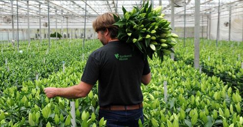 Sustainable Joy Through Certified Flowers