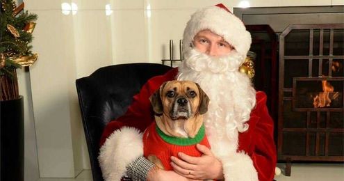 Get a free professional photo of your pet with Santa in Rittenhouse