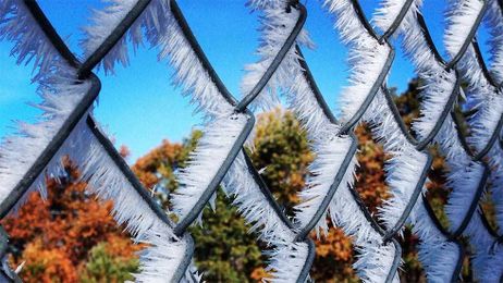 Hoarfrost: The Science Behind Frost on Steroids