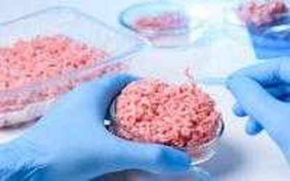 Study finds resistance levels not lower in antibiotic-free burger meat