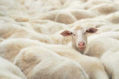 The Tragedy of the Commons, Revisited