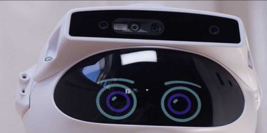 These could be the 3D-camera eyes for your next home robot