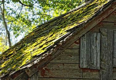 How to Remove Moss from Roof