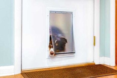 In and Out: How to Install a Doggie Door in a Metal Door