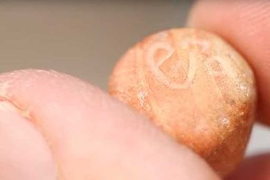 Tiny Stone Helps Confirm and Clarify Bible