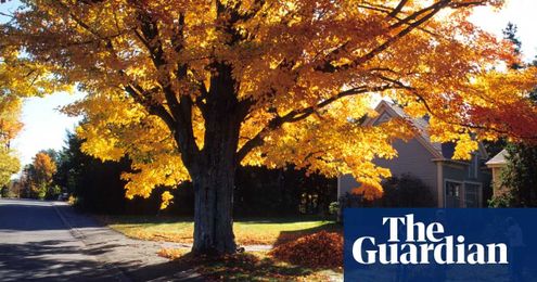 Tim Dowling: at 97, is my father ready for a family makeover?