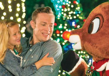 Amusement Parks You Need to Visit During the Holidays