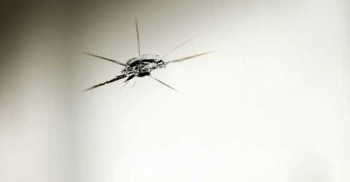 CAR CARE: Follow these tips if you get a windshield chip