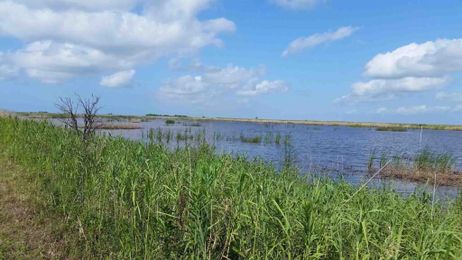 Wetlands Mitigation Banking is an Environmental and Conservation Success Story
