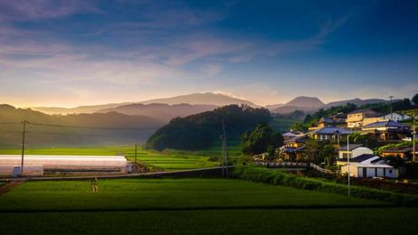 Millions of homes in Japan are being given away. Here's how to get one.