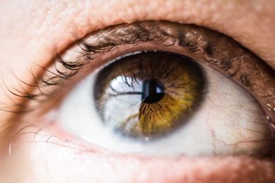 Scientists have created biodegradable microneedles to fight eye disease