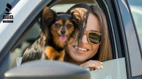 Tips for Traveling With Furry Friends