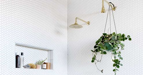 Unisex Body Wash and Skincare Brands