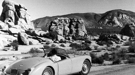 Joshua Tree: How One Woman’s Work Preserved the Desert