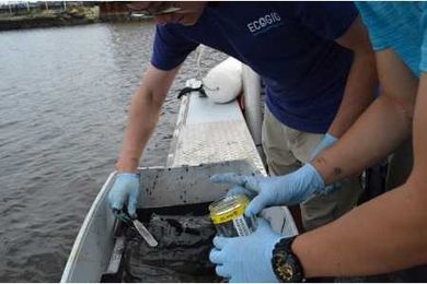 Study Finds Sewage Bacteria Lurking In Hudson River Sediments