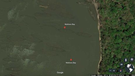 An Underwater 'Ghost Fleet' of Shipwrecks Is On the Move, and Here's Why