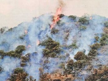 10 ways to save your home from fire (photos)