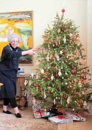 Holvino: Trimming The Tree