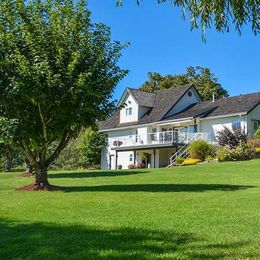 What Causes Brown Spots on My Lawn