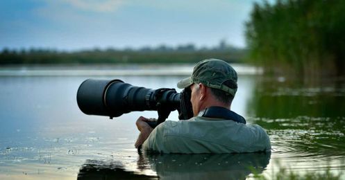 Capture the true beauty of wildlife with these 7+ photography tips