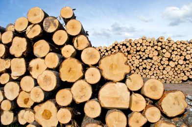 EPA Requirements When Importing Composite Wood Products