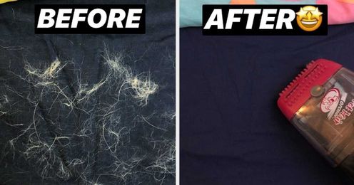 This Powerful Handheld Pet-Hair Vacuum Is Simply Life-Changing