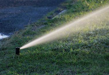 5 Tips For Efficiently Using An Automatic Watering System