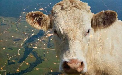 Is Coal Seam Gas Contaminating The Meat You Eat?