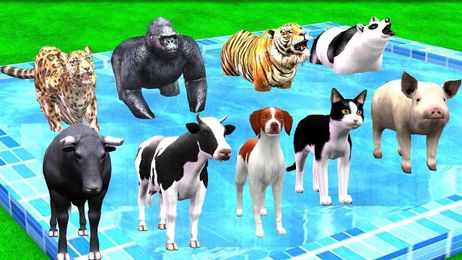 Wild Animals Transformation into Farm Animals in The Water Pool For Kids