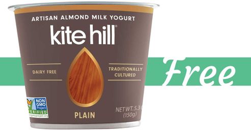 Makes Almond Milk Yogurt Free!