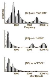 Why do we dislike hearing a recording of our own voice?