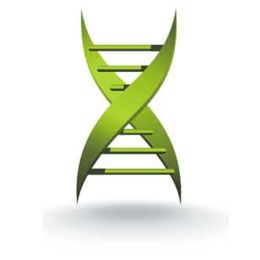 Intellectual curiosity and confidence help children take on math and reading