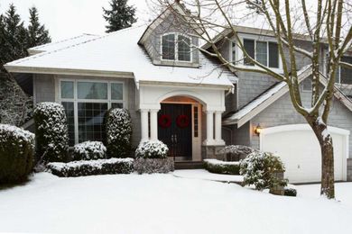 Snow Mold 101: All You Need to Know About the Lawn Fungus