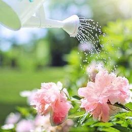 Help Your Plants Survive the Cold with These Frost Protection Tips