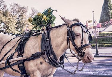 7 Of The Most Beautiful Funerals & Memorials Of All Time