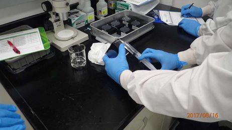 How do you grow plants in space? Michigan State researchers are on the case.