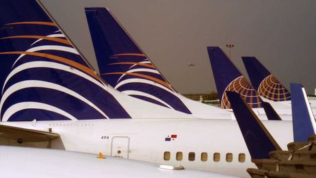 Flying United Airlines? Don’t expect any puppy love