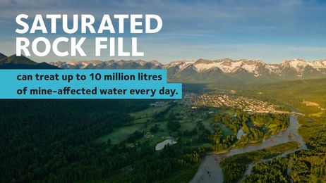 Going Natural: Applying Innovative Solutions to Improve Water Quality