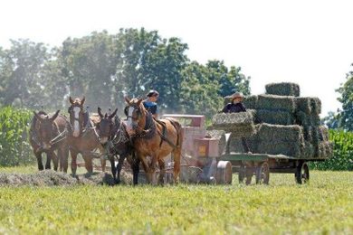 Hay Makers Learn Ways to Prevent Losses
