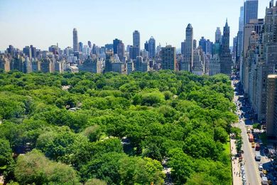 How Big is Central Park, Actually?
