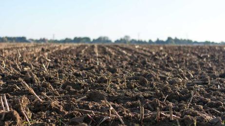 Amid global soil crisis, governments struggle to reach farmers