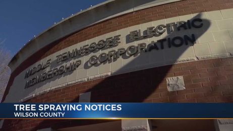 Middle Tennessee Electric wants to use chemical to control tree branch growth