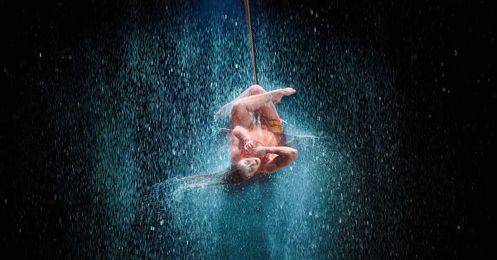 What Cirque du Soleil can tell us about the neuroscience of awe