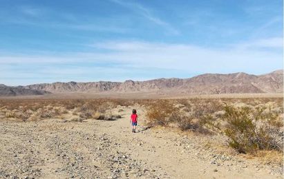 5 Tips For Visiting National Parks With Kids