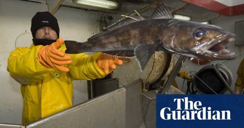 Tracking technology to reveal whether food produced legally and sustainably