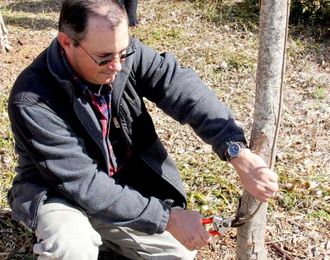 Learn pruning skills, equipment care through UGA course