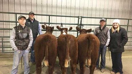 Stock farm family a show stopper from the start
