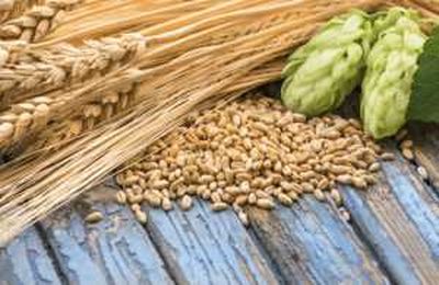 Why Barley Brewing Is Better for the Environment (BillyBrew)