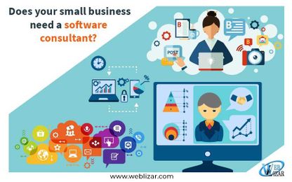 Does your small business need a software consultant?